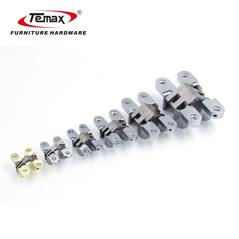 Temax Hidden Heavy Duty Door 180 Degree Open Hinge For Door