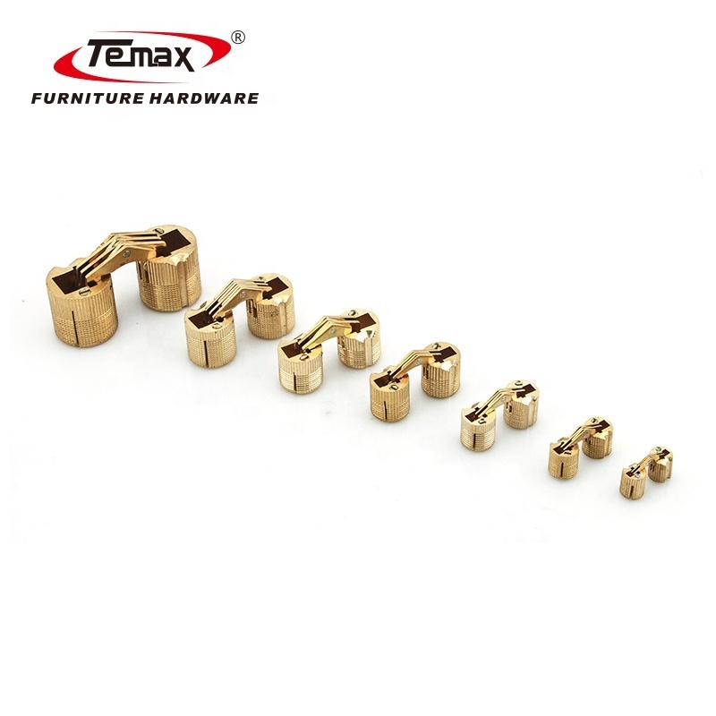 TEMAX Gold Wooden Box Invisible Concealed Barrel Hinge HG110