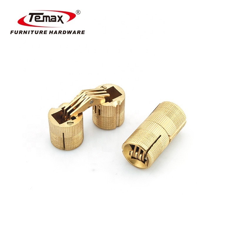 TEMAX Gold Wooden Box Invisible Concealed Barrel Hinge HG110