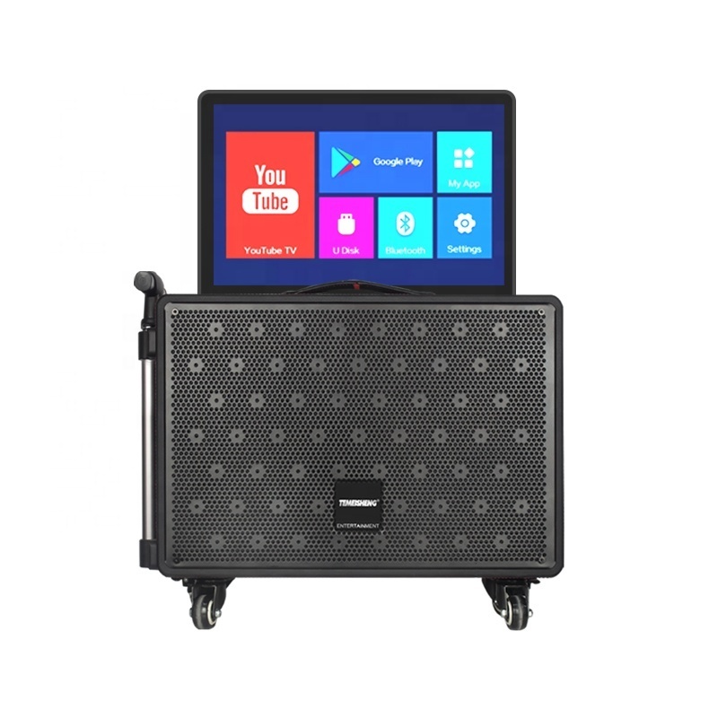 New Home Party Karaoke System Touch Screen 14.1 inch Android 11 Karaoke Player KTV Karaoke Machine