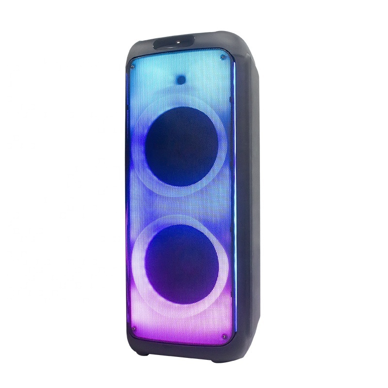 Temeisheng hot sale popular double 12 inch bt portable party s 85cm speaker trolly speakers dc 12v horn speaker