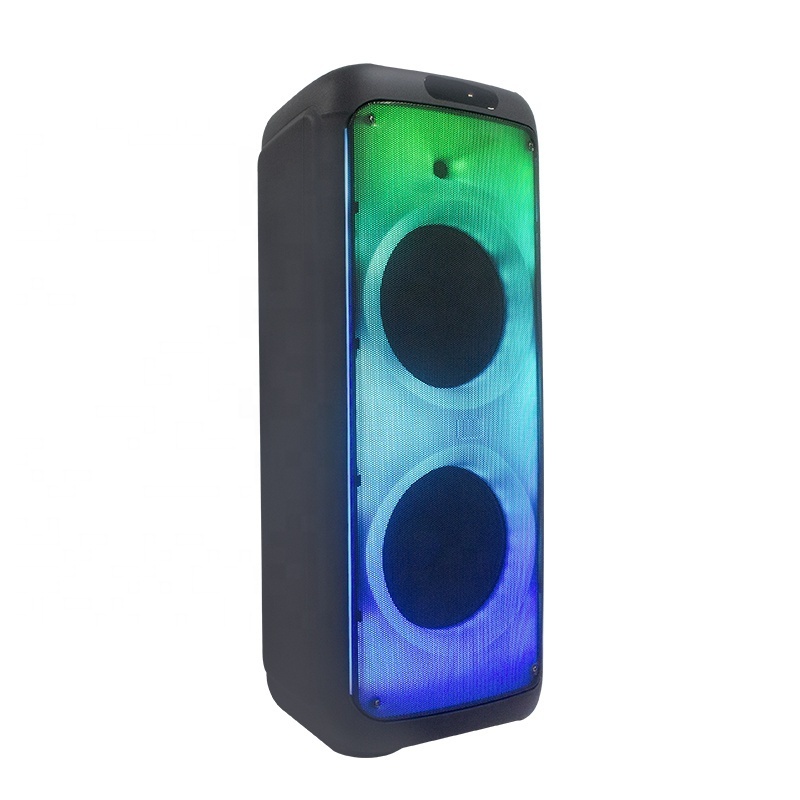 Temeisheng hot sale popular double 12 inch bt portable party s 85cm speaker trolly speakers dc 12v horn speaker