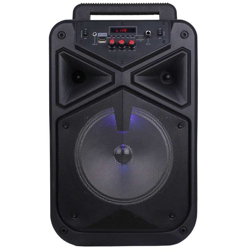 Temeisheng hot sale 8 inch subwoofer bass loud portable trolley bt speaker with wireless mic