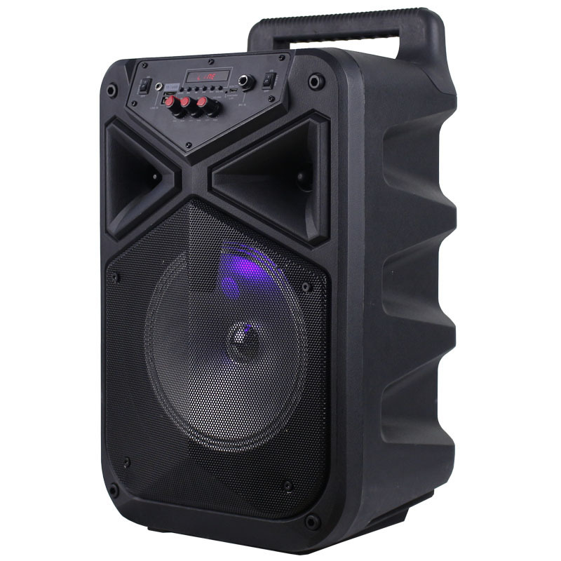 Temeisheng hot sale 8 inch subwoofer bass loud portable trolley bt speaker with wireless mic