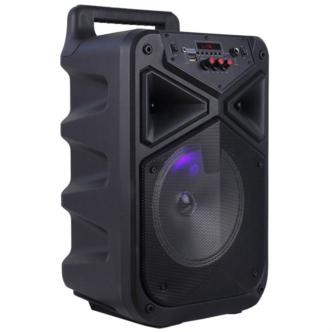 Temeisheng hot sale 8 inch subwoofer bass loud portable trolley bt speaker with wireless mic