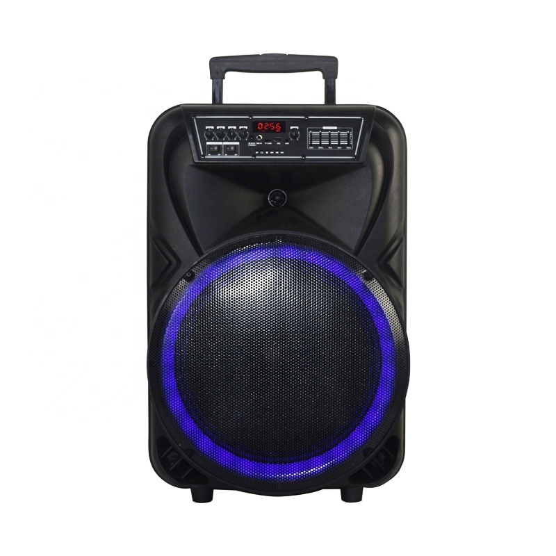 temeisheng 12 inch speakers bocinas amplificadas y blutu music angel speaker caixa de som blue tooth speakers & accessories