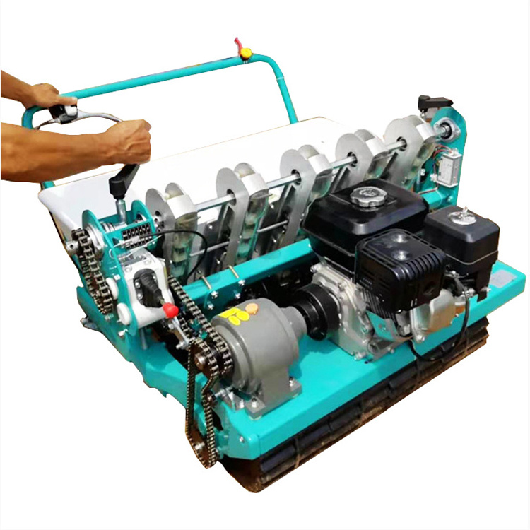 High Precision Vegetable Onion Carrot Garlic Plant Seeding Machine Garlic Seed Planter Planting Machine