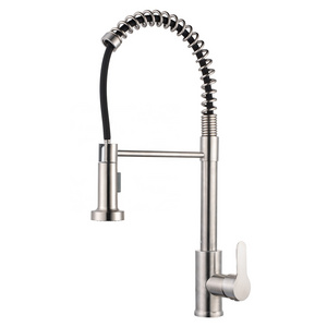 TB-4041 Tengbo spring brass tuscany double-handle kitchen faucet with pull down sprayer