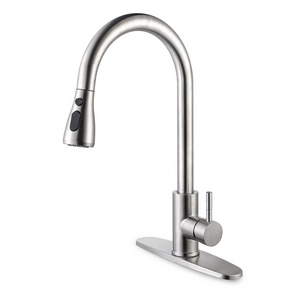 SS6011-Tengbo torneira cozinha  stainless steel cold water sink faucet for pull out kitchen faucet taps sink tap