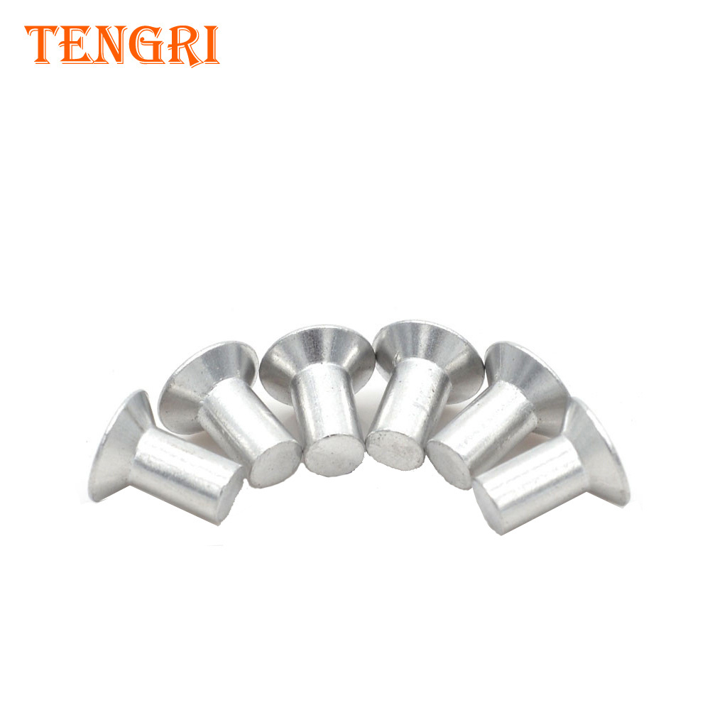 Chinese factory Best Price can be customized Countersunk head solid rivets aluminum rivets