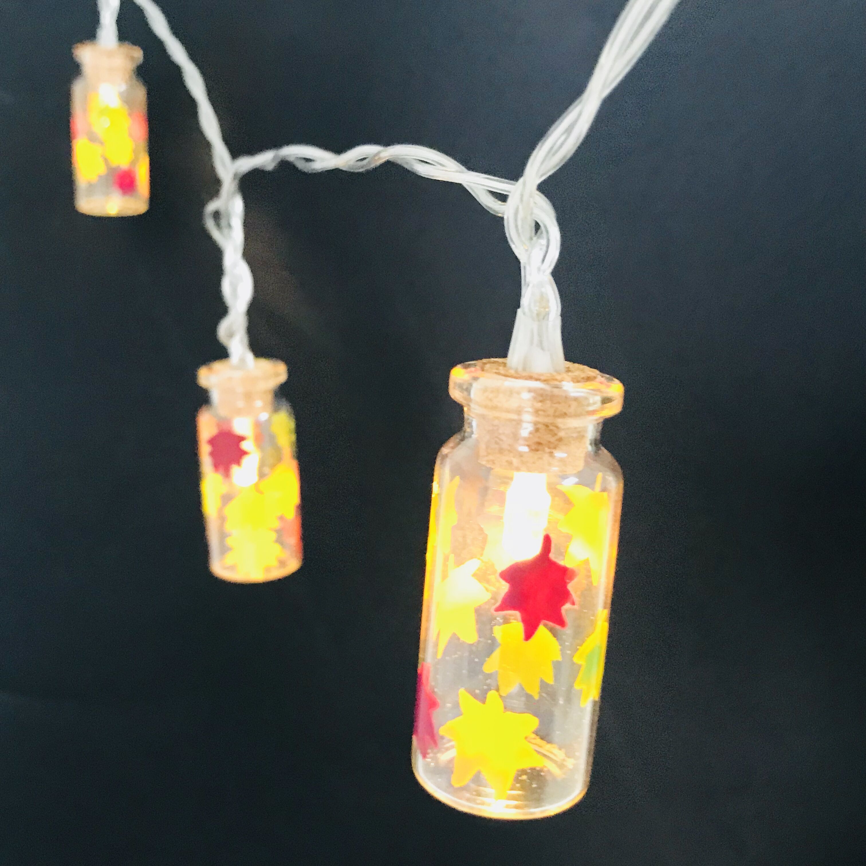 Maple leaf printing bottle shaped string light battery fairy led light chain lights for harvest decoration