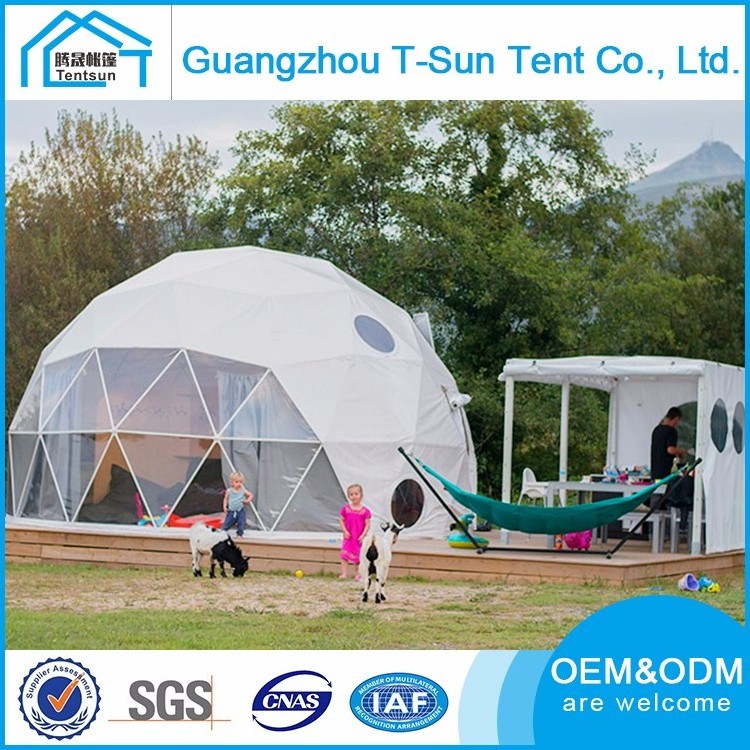 Low price 10m pvc clear soundproof party event geodesic dome tent canopy