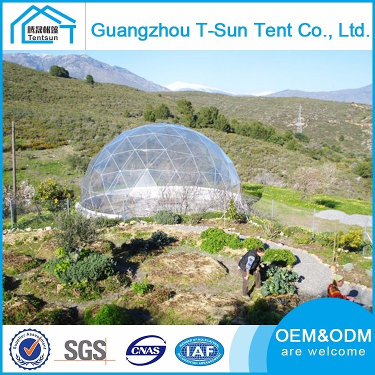 Low price 10m pvc clear soundproof party event geodesic dome tent canopy