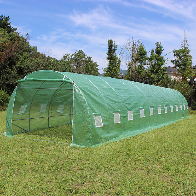 TLSP113 home type high tunnel agriculture plant shelves for polytunnel greenhouse-36m2 UV protected