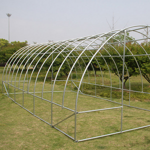 TSLP110 UV protected 12 roll-up windows with screens mushroom low cost poly tunnel garden polytunnel greenhouse