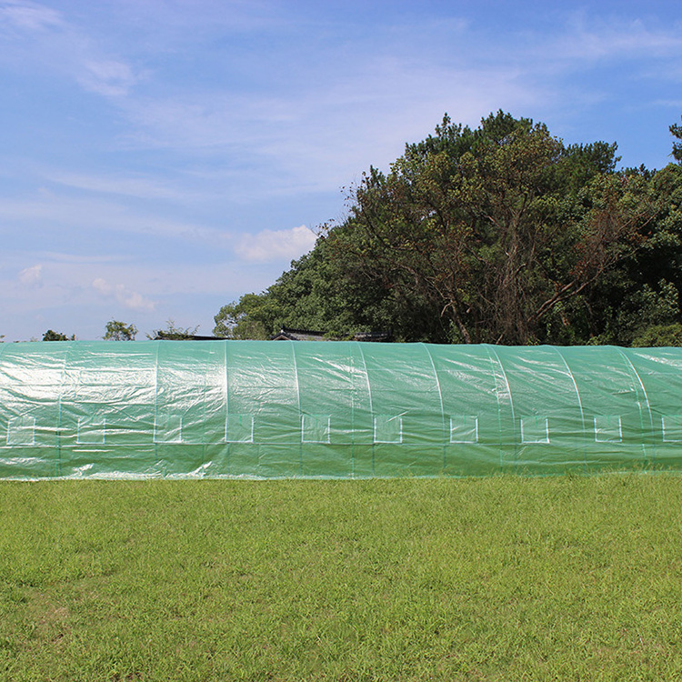 TLSP113 home type high tunnel agriculture plant shelves for polytunnel greenhouse-36m2 UV protected