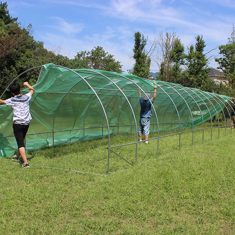 TLSP113 home type high tunnel agriculture plant shelves for polytunnel greenhouse-36m2 UV protected