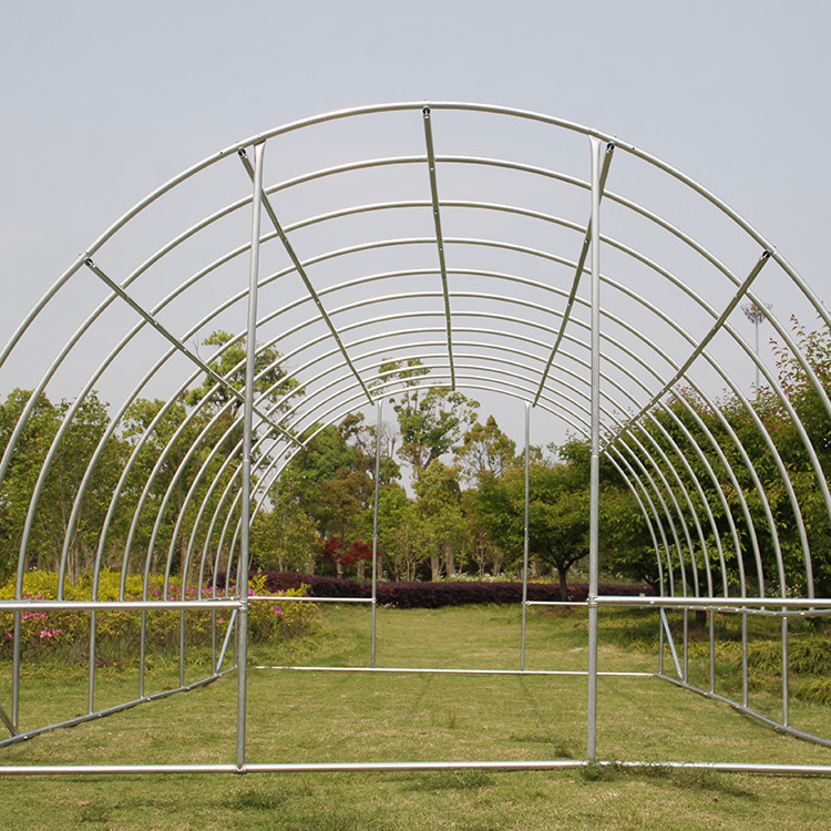 TSLP110 UV protected 12 roll-up windows with screens mushroom low cost poly tunnel garden polytunnel greenhouse