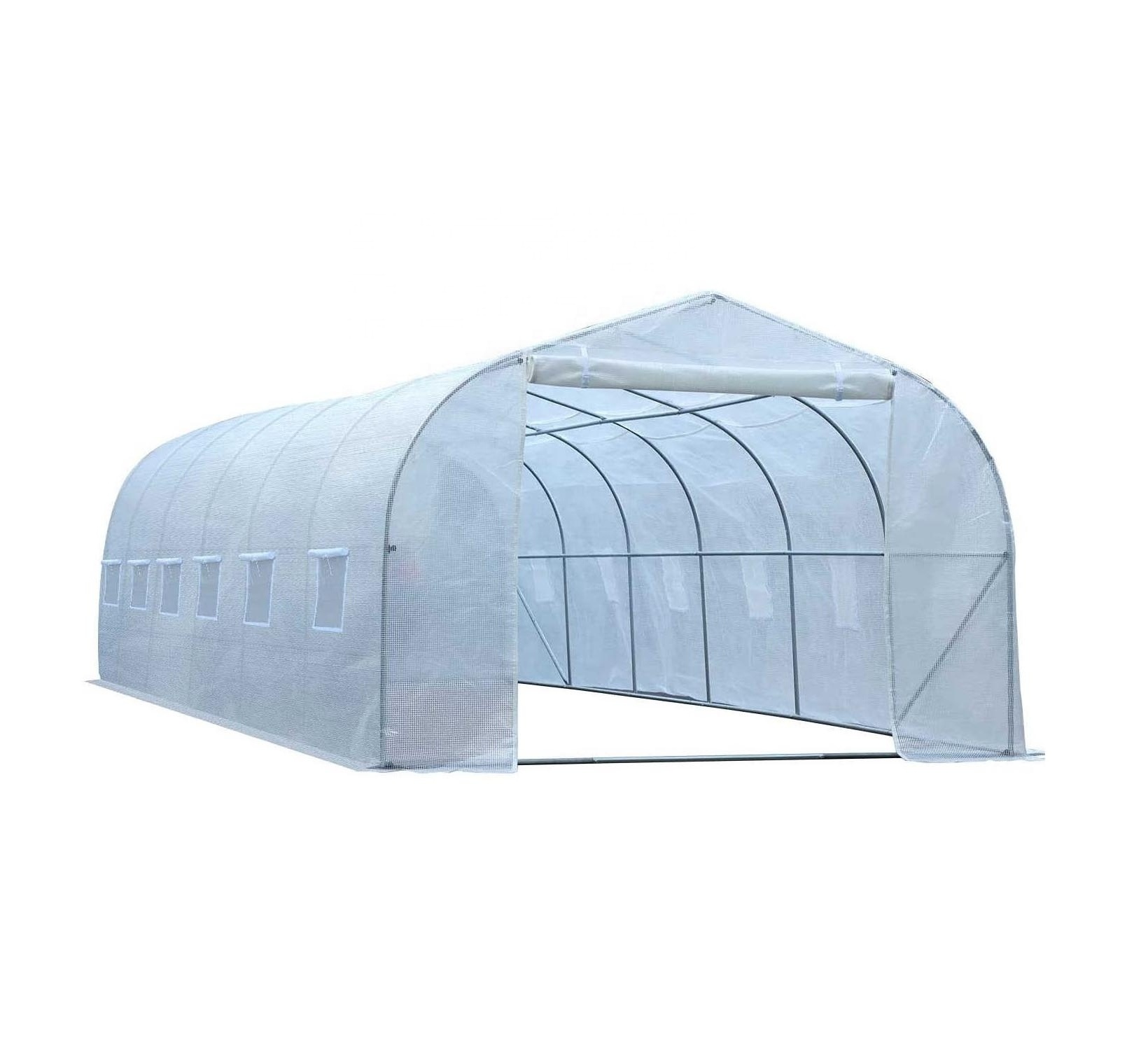 Factory hot sell greenhouse garden agriculture greenhouse fruit/vegetable sunshine greenhouses