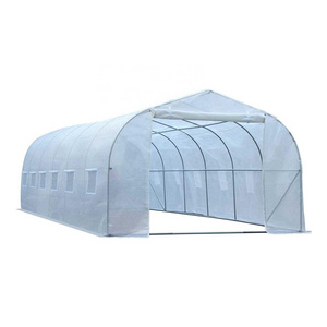 Factory hot sell greenhouse garden agriculture greenhouse fruit/vegetable sunshine greenhouses