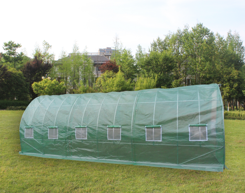 TSLP110 UV protected 12 roll-up windows with screens mushroom low cost poly tunnel garden polytunnel greenhouse