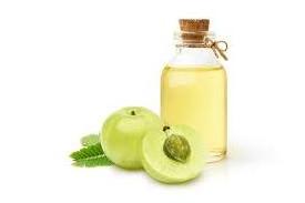 100% Pure Naturals Cold Pressed Organic Amla Oil Export Good Quality At Best Price Manufacturing from India