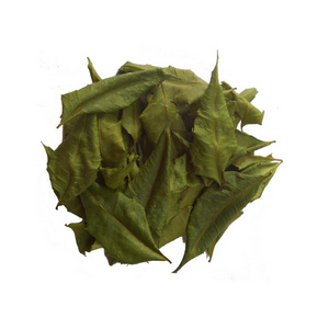 Natural neem leaves for tea purpose from indian exporter neem dry leaf high protein health tea