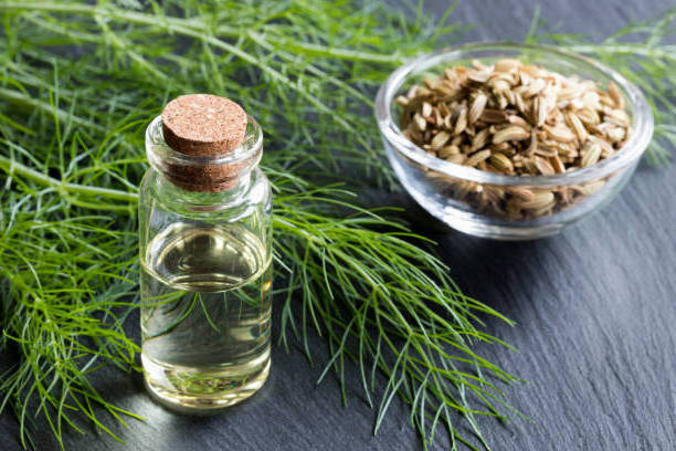 Top Sell 2023 Pure Fennel Seed Oil with Customized Size Packing Oil For Sale By Indian Manufacturer & Exporters