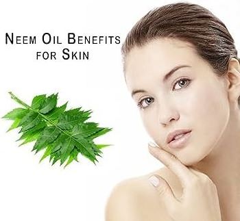 Cold Pressed Neem Oil For Skin and Hair Cosmetic Use Product Export Wholesale Price Supplier From India