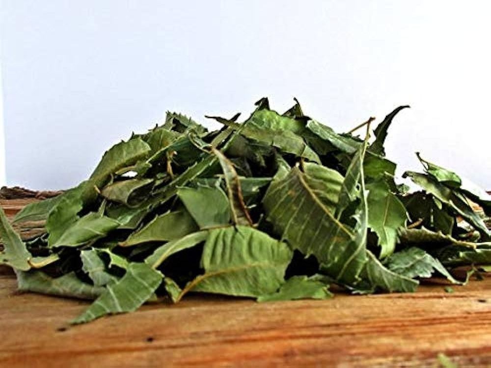 Natural neem leaves for tea purpose from indian exporter neem dry leaf high protein health tea