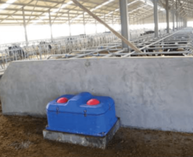 Livestocks 4 Holes Plastic Cattle Waterer Sheep Drinker Water Troughs Tank