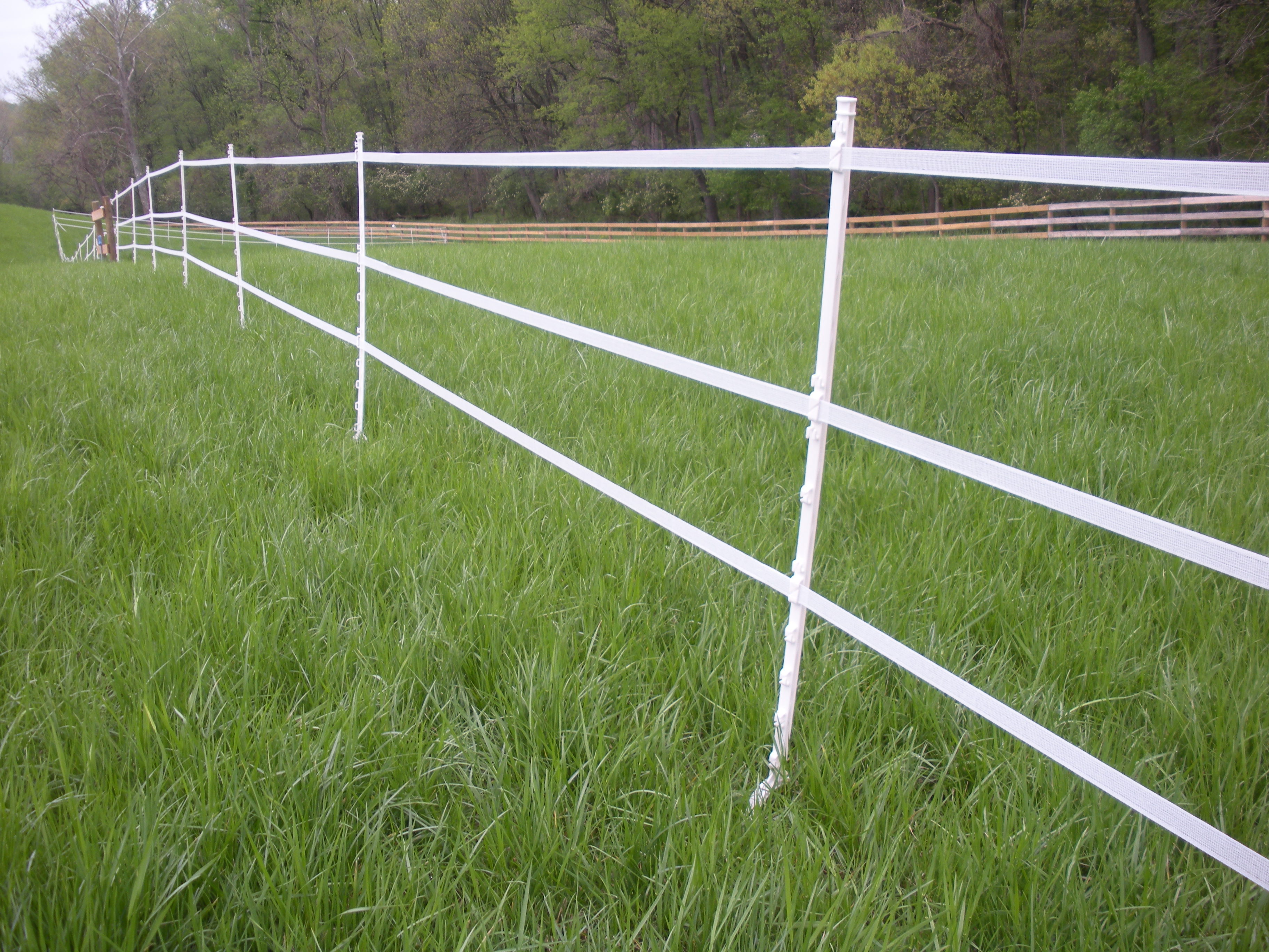 Easy Assemble  Material Wood Post Plastic Step In Temporary Electrical Fencing Poly Posts  Post For Electric Fence