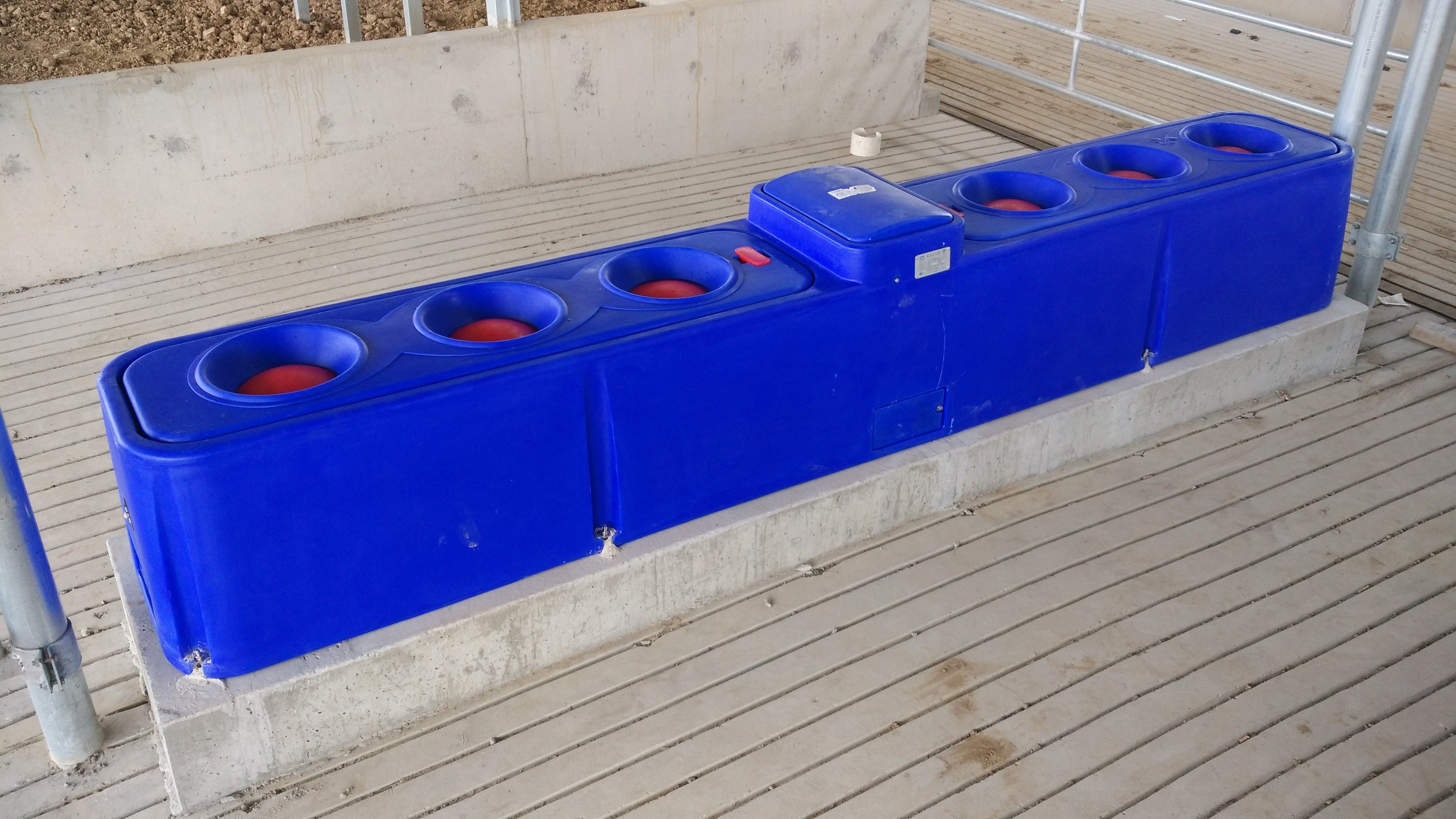 4 Holes Plastic Cattle Waterer Sheep Drinker Water Trough Tank