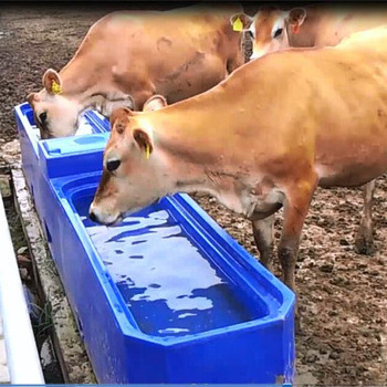 4 Holes Plastic Cattle Waterer Sheep Drinker Water Trough Tank