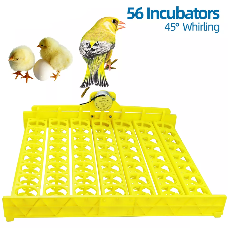 New 56 Poultry Eggs Tray Incubator Automatic  Incubator for Farm Chicken Ducks Geese Pigeons