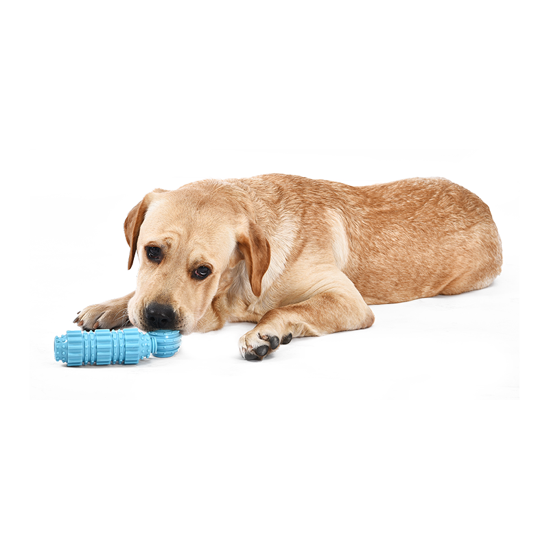 Wholesale Durable TPR Dog Chew Food Leakage Toy Pet IQ Training Hiding Food Toy with Multi Function Use