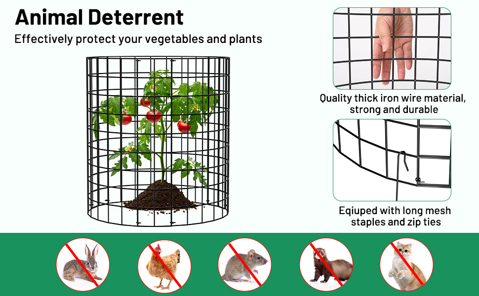 Sturdy metal tree guards for keeping rabbits and chickens out of the garden to protect plants