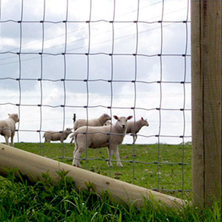 2024 Hot selling 4ft 5ft 6ft 8ft Height Pasture Fence Goat Farming Grassland Cheap Field Fence