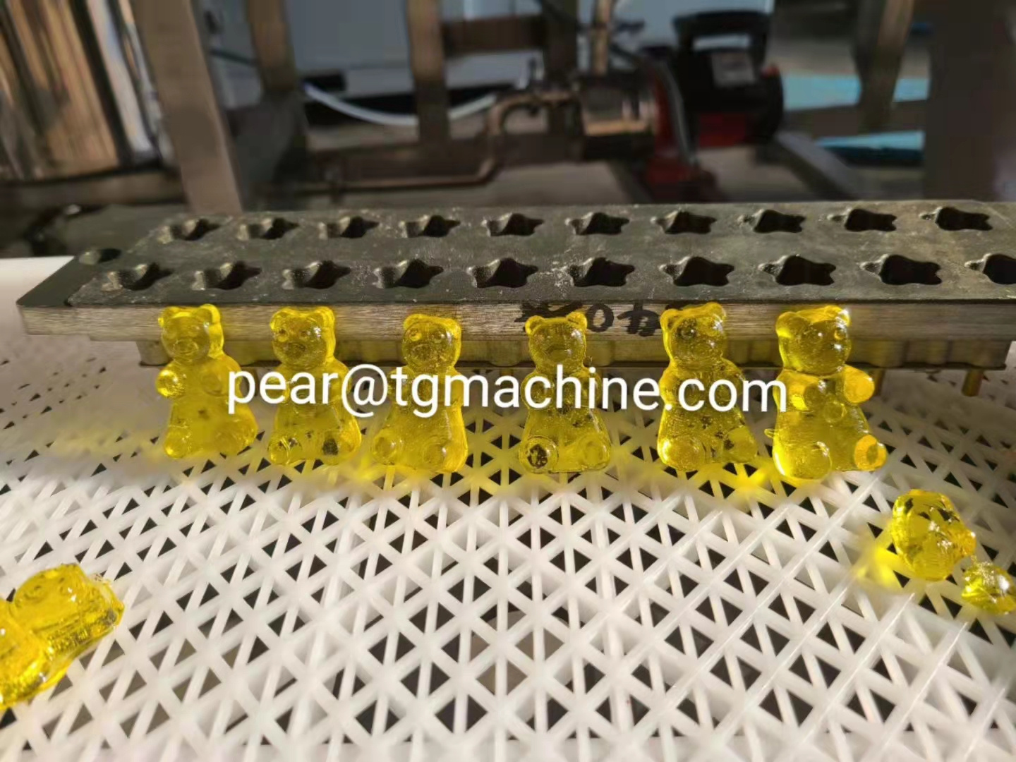 Small Pectin jelly gummy candy production line lollipop bear taffy snack food machine petite fabrication bonbons