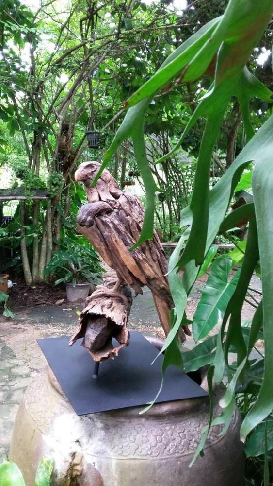 Driftwood hawk animal art statue sculpture