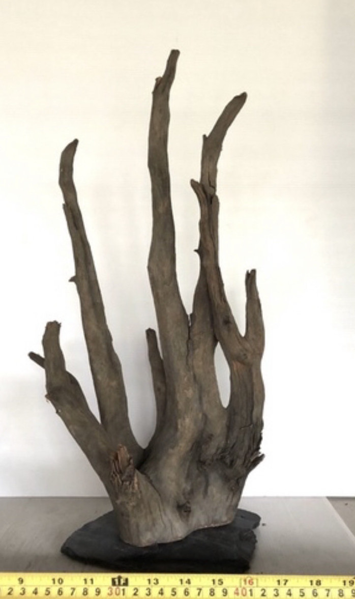 Wholesales Natural Driftwood Display Stand for Decoration Aquarium  Fish tank