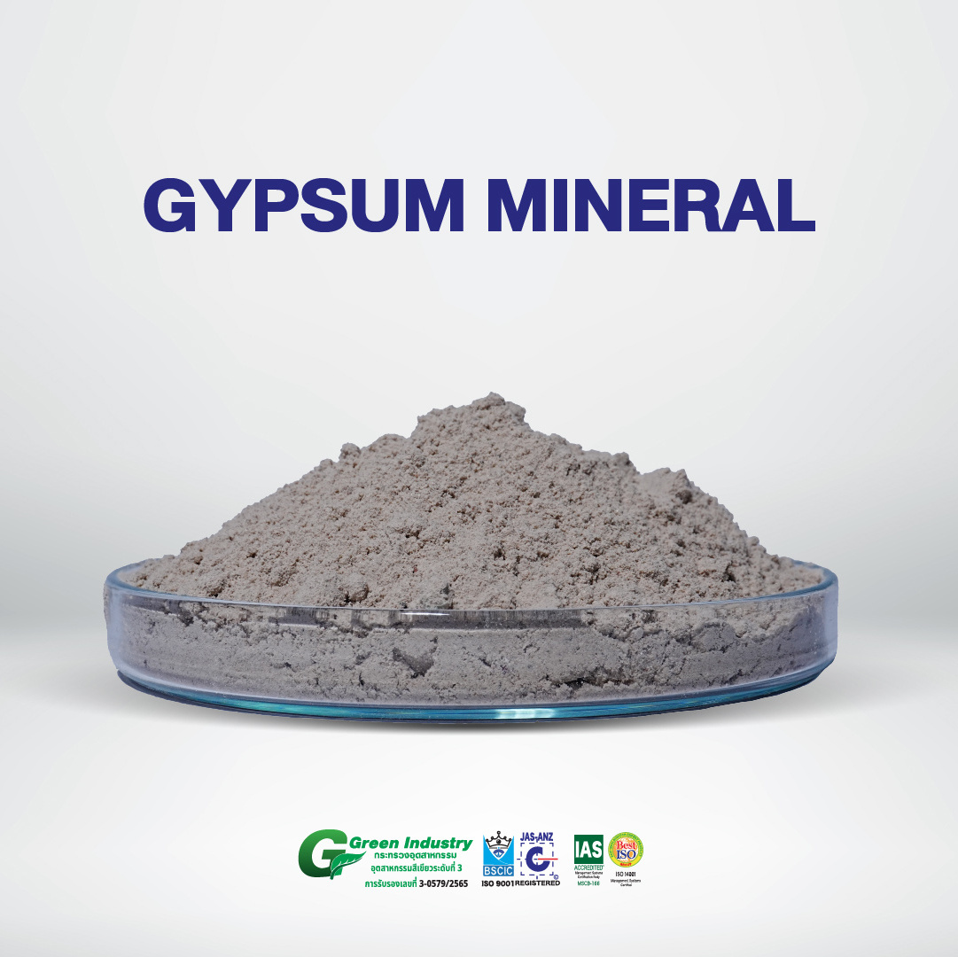 Raw Material Gypsum Powder Soil Improver for Agriculture from Thailand