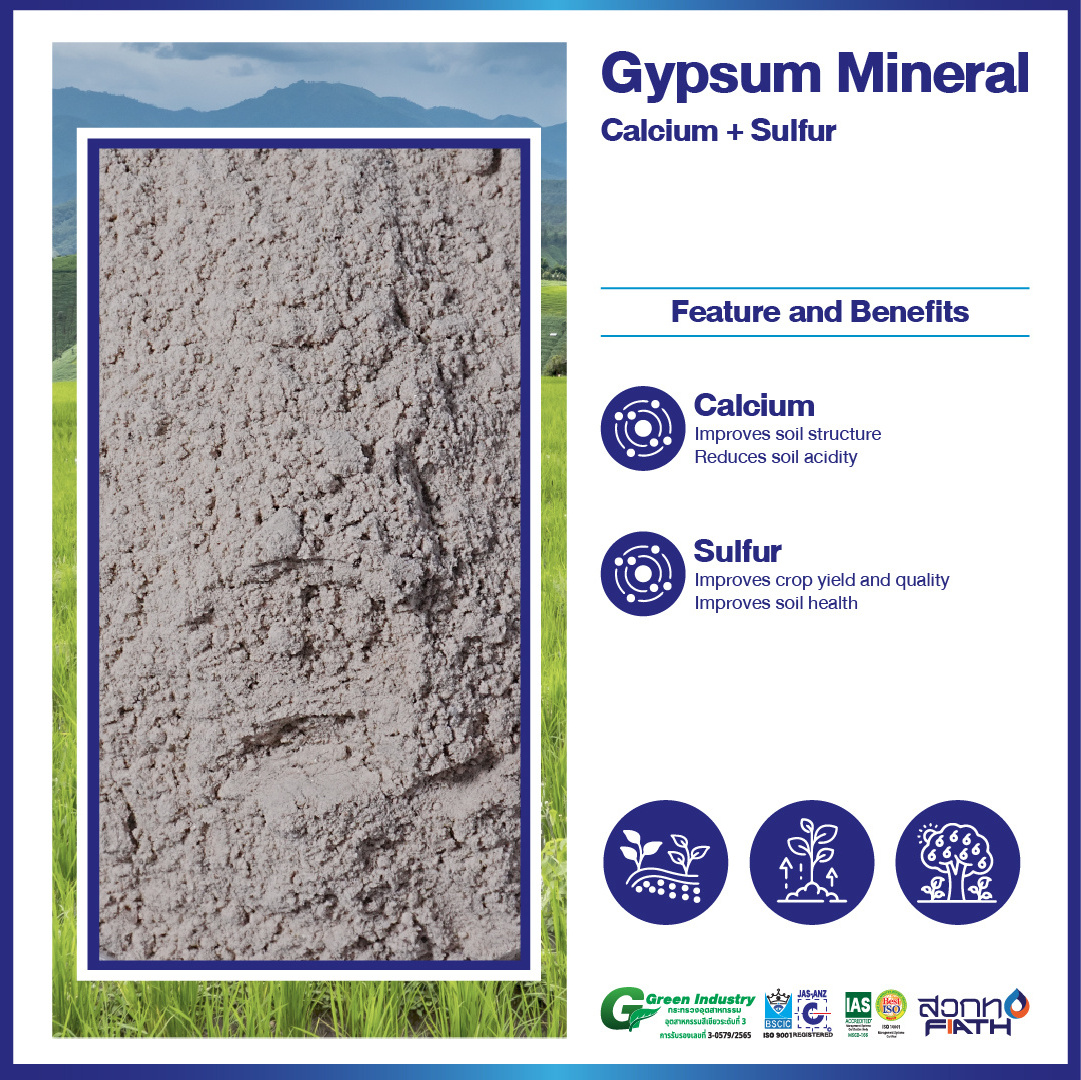 Raw Material Gypsum Powder Soil Improver for Agriculture from Thailand