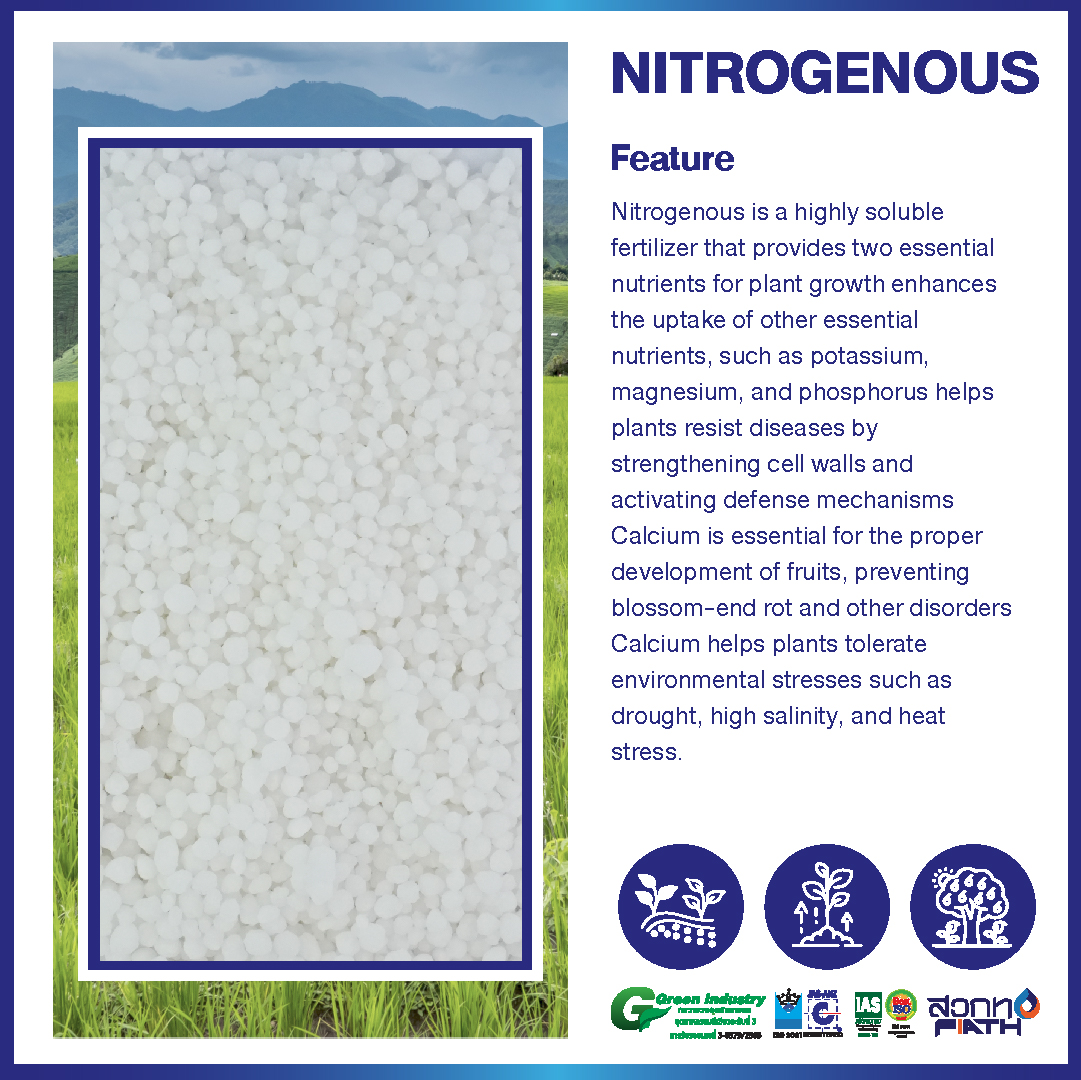 Raw Material Nitrogenous Fertilizer Granule Soil Improver for Agriculture from Thailand