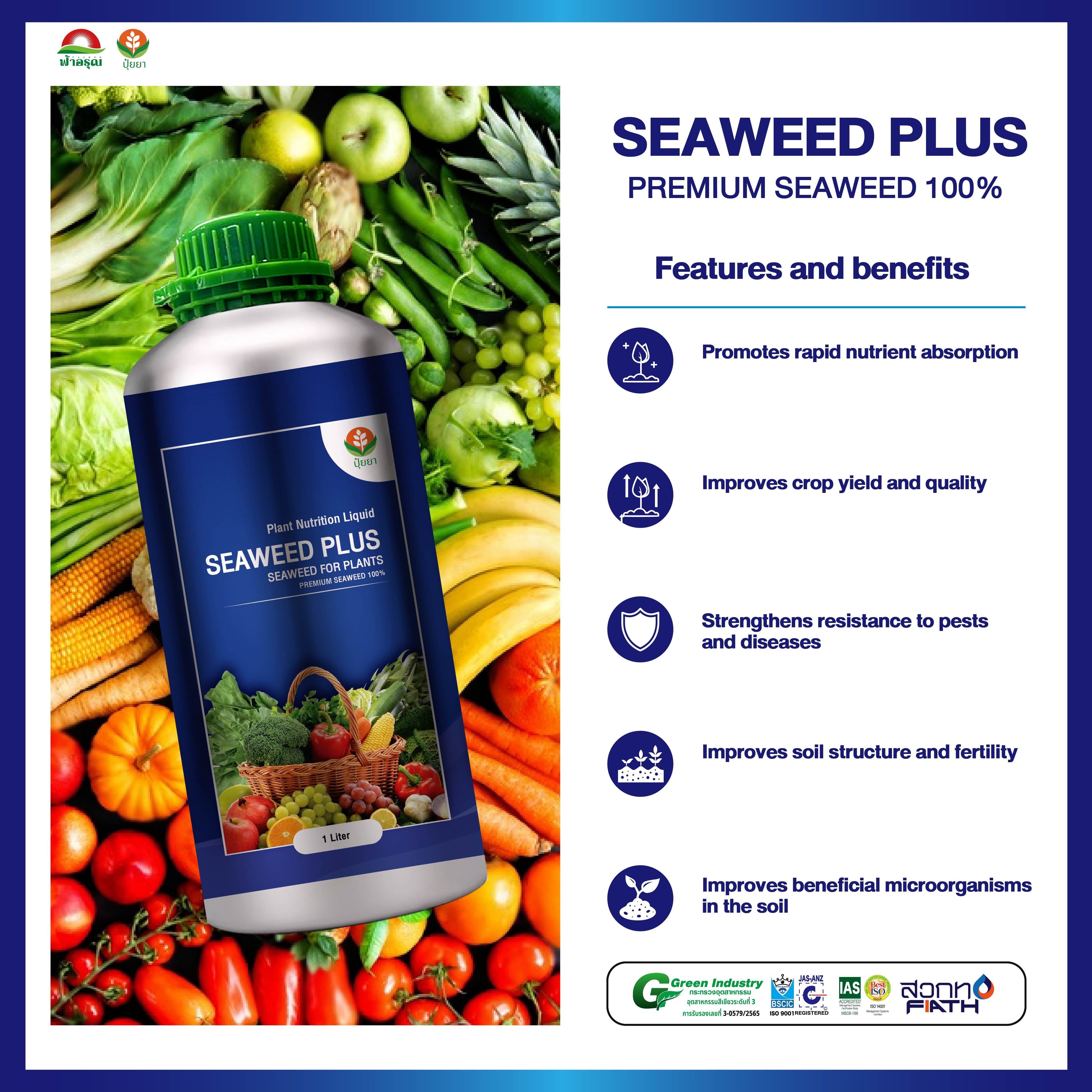 SEAWEED PLUS Plant Nutrition Liquid Seaweed Seaweed Extract Liquid Fertilizer for Plant for Agriculture from Thailand