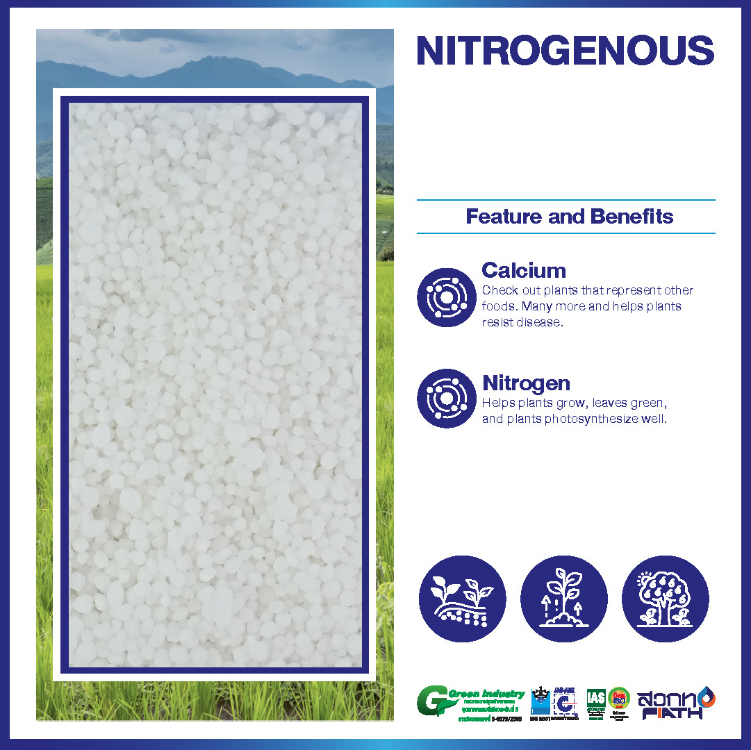 Raw Material Nitrogenous Fertilizer Granule Soil Improver for Agriculture from Thailand