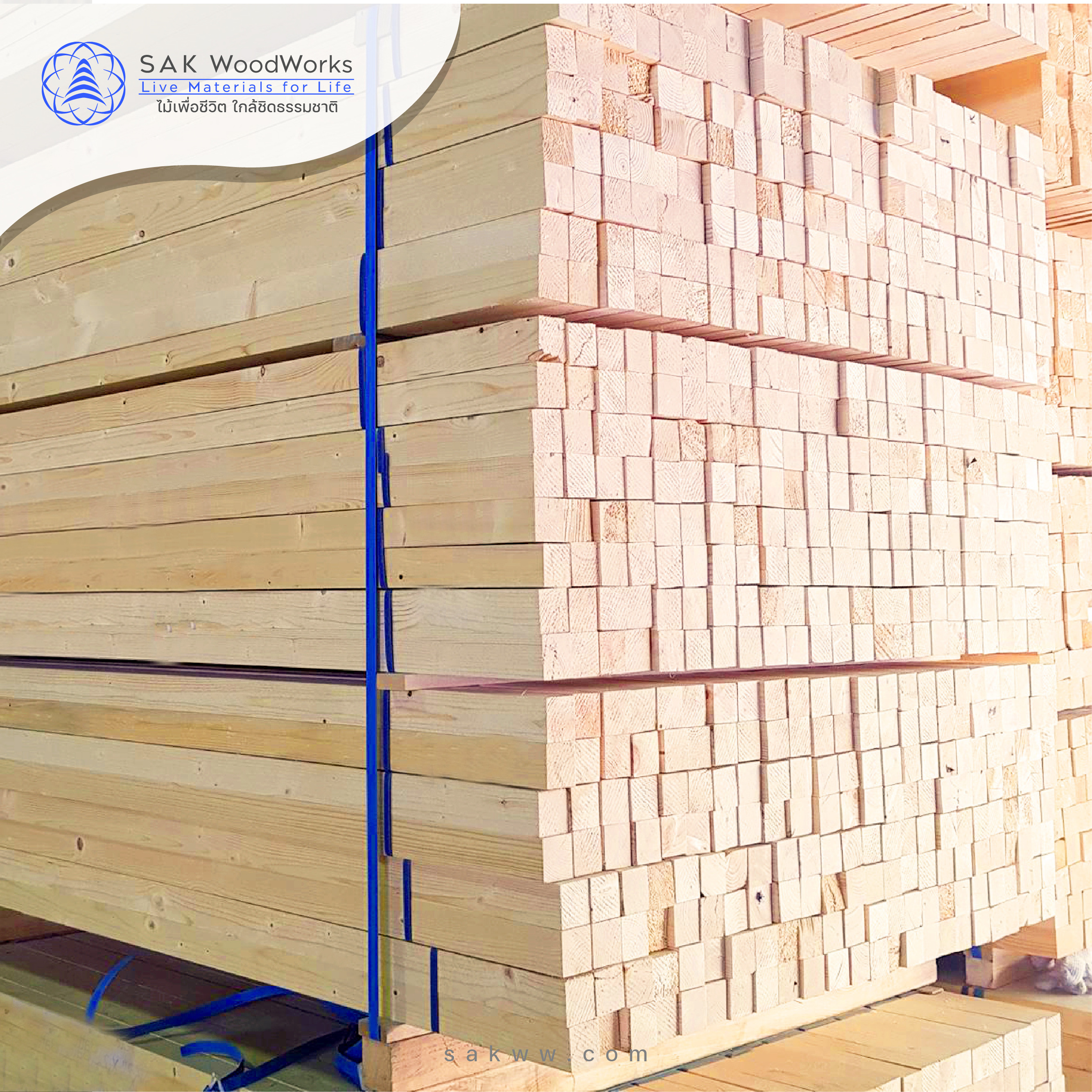 European Pine Spruce Poles 60 mm. x 60 mm. x 3 m. KD S4S for Furniture leg, Bed slat, House decor, Construction etc.