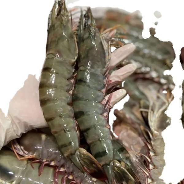 Thailand Black Tiger Shrimp, Prawn AA 700gm, Wild Catch Boston Lobster 350gm Whole Slipper Lobster