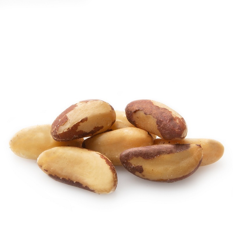 Best Selling High Quality Brazil Nuts with Free International Shipping for Sale High Quality Brazil Nuts for Export