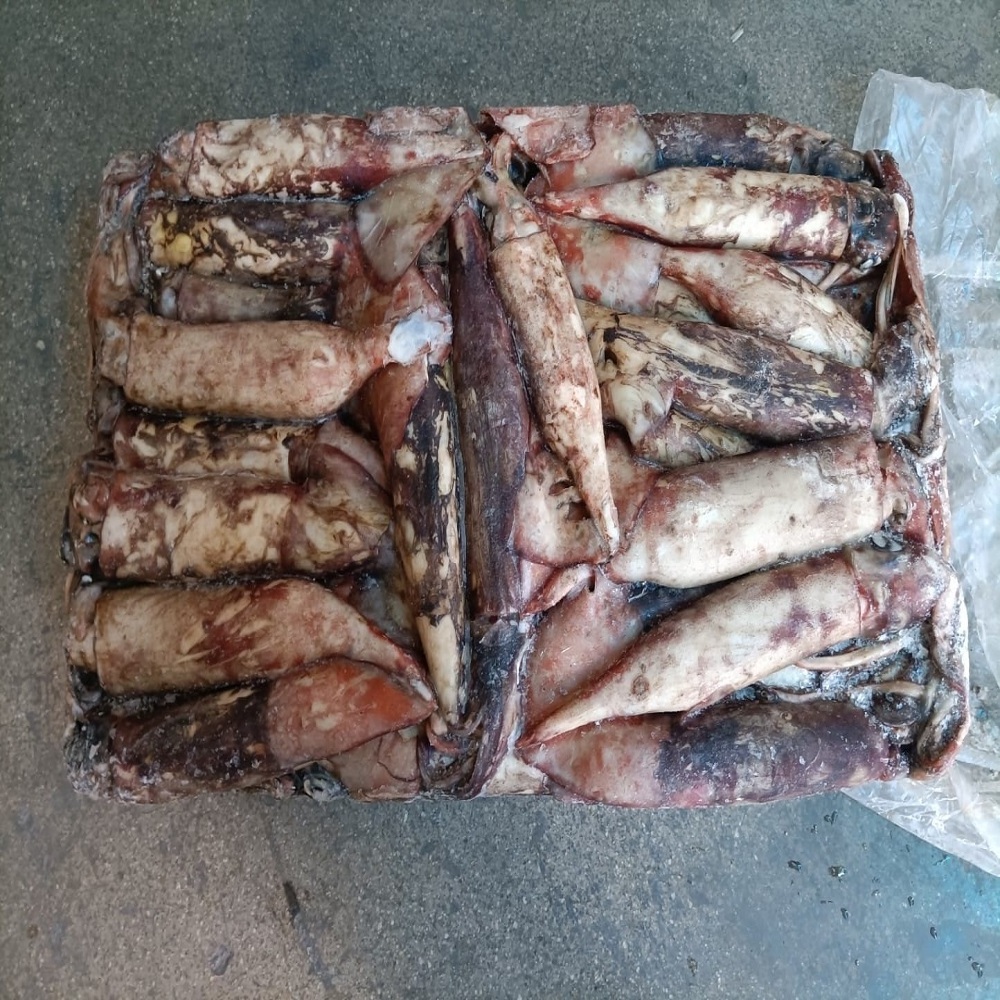 Wholesale Big Size Natural Live Octopus for Sale Japanese Food Frozen Octopus Frozen Baby Octopus Price Leg Frozen Seafood I.Q.F